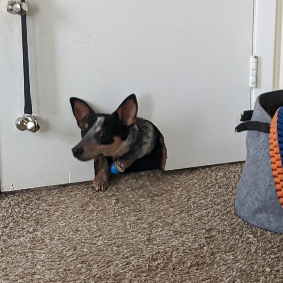 Reasonable offers always welcome 😄 - Picture 5 of 6